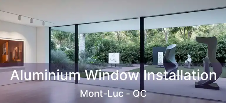  Aluminium Window Installation Mont-Luc - QC