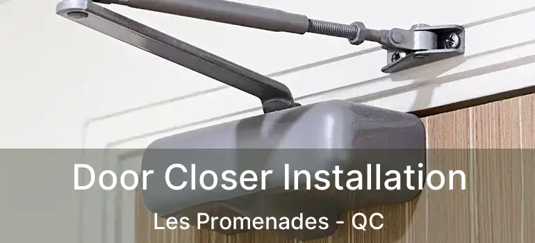  Door Closer Installation Les Promenades - QC