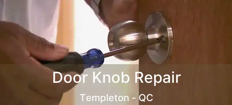  Door Knob Repair Templeton - QC