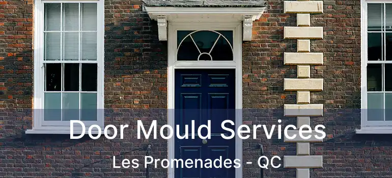  Door Mould Services Les Promenades - QC