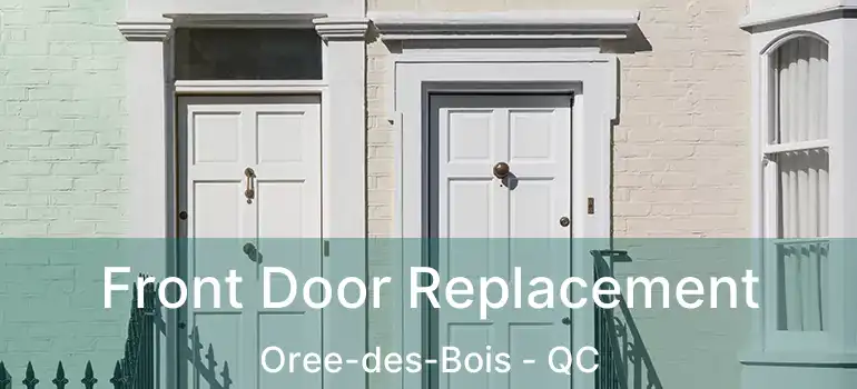  Front Door Replacement Oree-des-Bois - QC