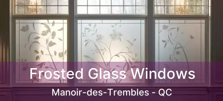  Frosted Glass Windows Manoir-des-Trembles - QC