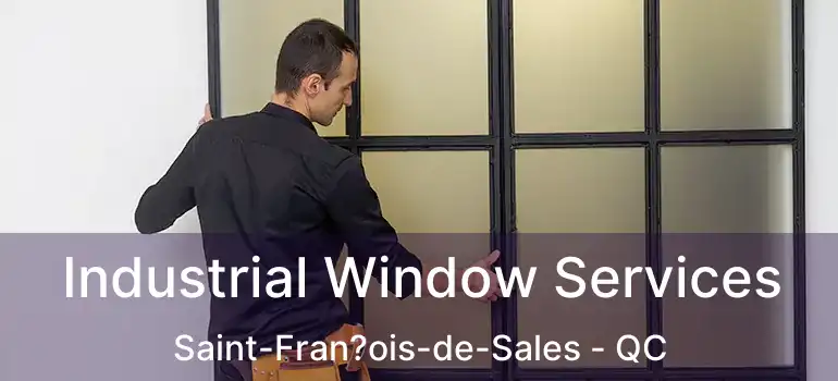  Industrial Window Services Saint-Fran?ois-de-Sales - QC