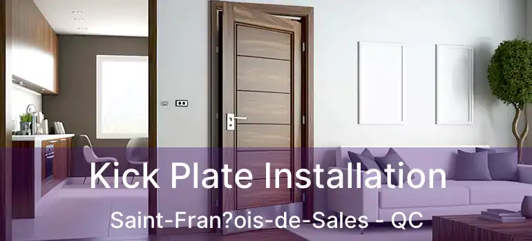  Kick Plate Installation Saint-Fran?ois-de-Sales - QC