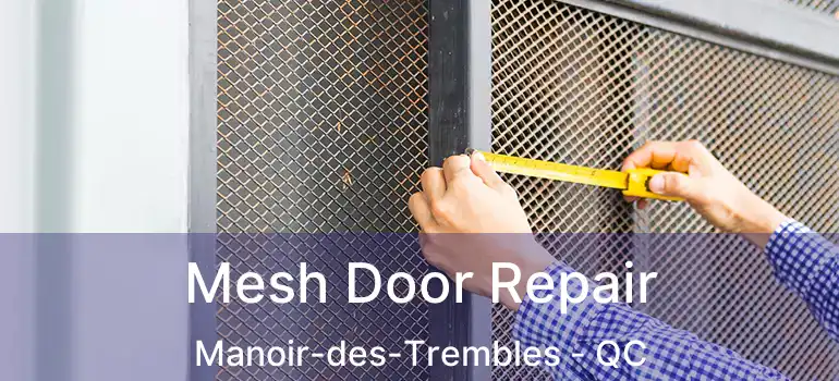  Mesh Door Repair Manoir-des-Trembles - QC