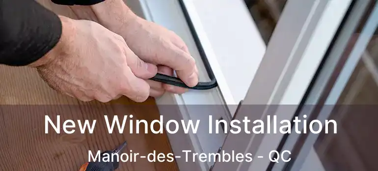 New Window Installation Manoir-des-Trembles - QC