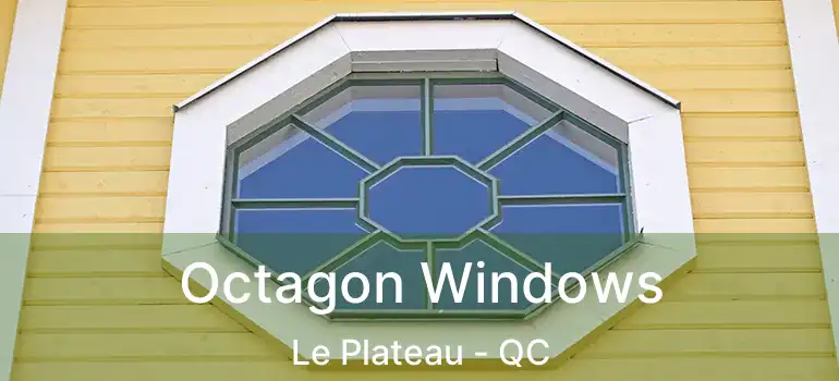  Octagon Windows Le Plateau - QC
