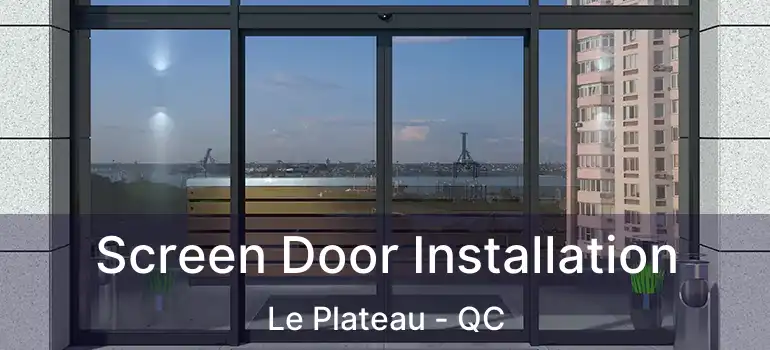  Screen Door Installation Le Plateau - QC