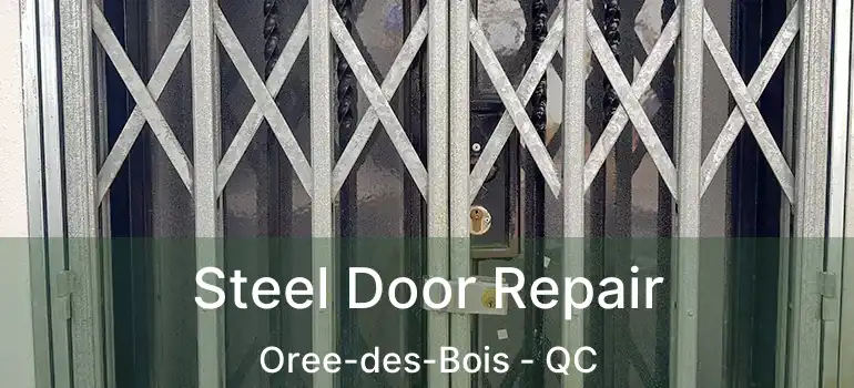  Steel Door Repair Oree-des-Bois - QC