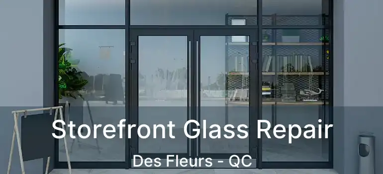  Storefront Glass Repair Des Fleurs - QC