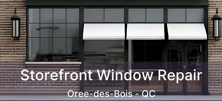  Storefront Window Repair Oree-des-Bois - QC