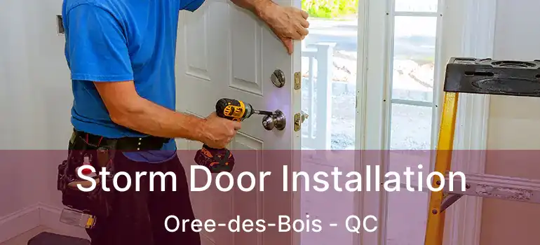  Storm Door Installation Oree-des-Bois - QC