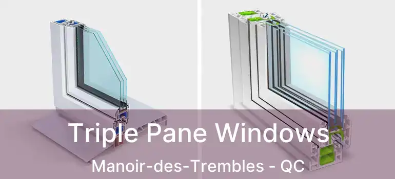  Triple Pane Windows Manoir-des-Trembles - QC