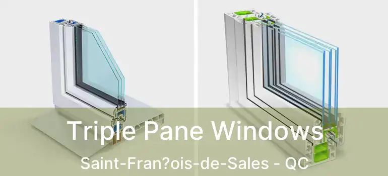  Triple Pane Windows Saint-Fran?ois-de-Sales - QC