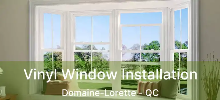  Vinyl Window Installation Domaine-Lorette - QC