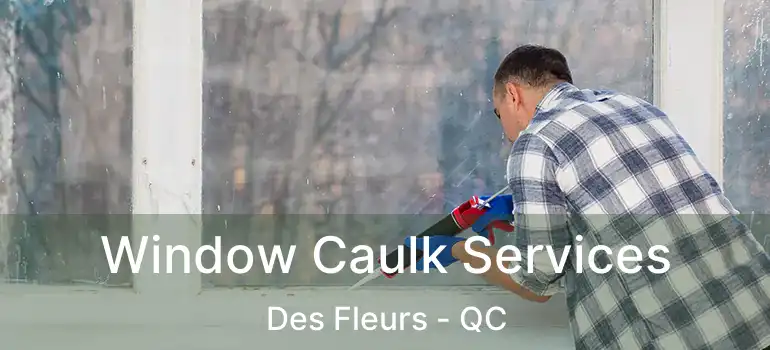 Window Caulk Services Des Fleurs - QC