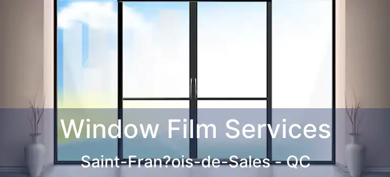  Window Film Services Saint-Fran?ois-de-Sales - QC