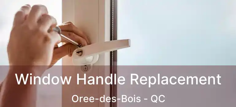  Window Handle Replacement Oree-des-Bois - QC