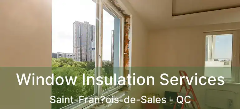  Window Insulation Services Saint-Fran?ois-de-Sales - QC