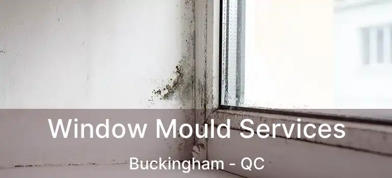  Window Mould Services Buckingham - QC