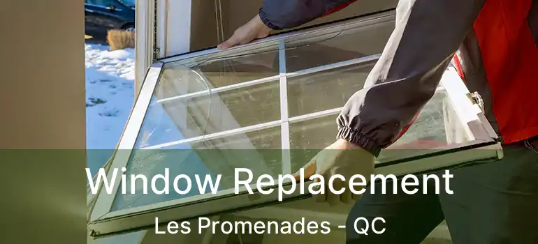  Window Replacement Les Promenades - QC