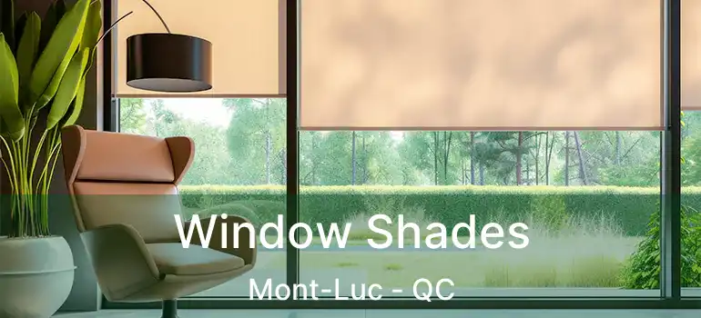  Window Shades Mont-Luc - QC