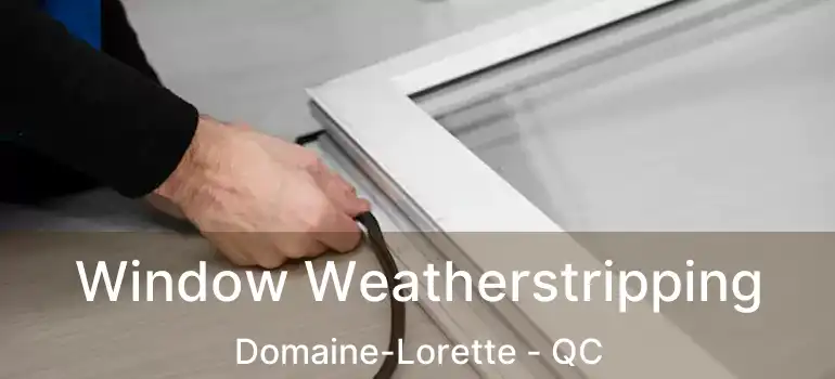  Window Weatherstripping Domaine-Lorette - QC